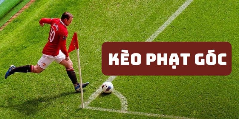 Các kiểu cược phạt góc thường gặp nhất 2025 tại nohu90