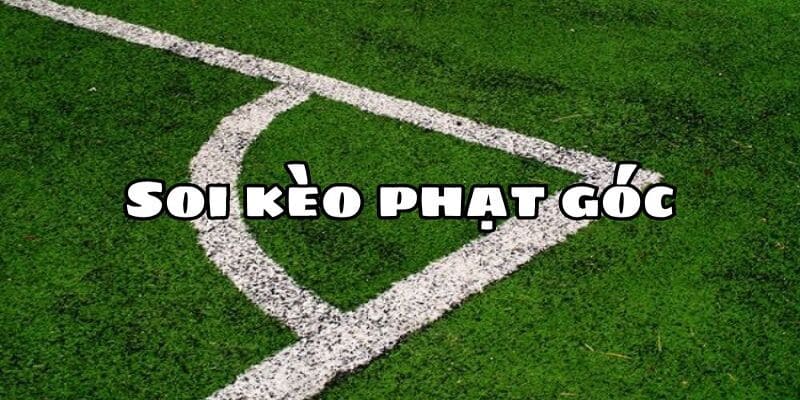 Cách soi kèo phạt góc đỉnh cao dành cho tân thủ tại nohu90